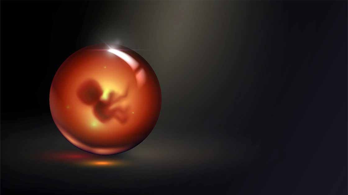 Científicos medievales intentaron crear personas con semen, sangre y un útero animal