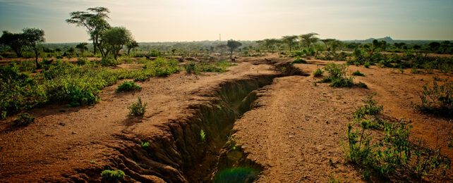 pueblo africano