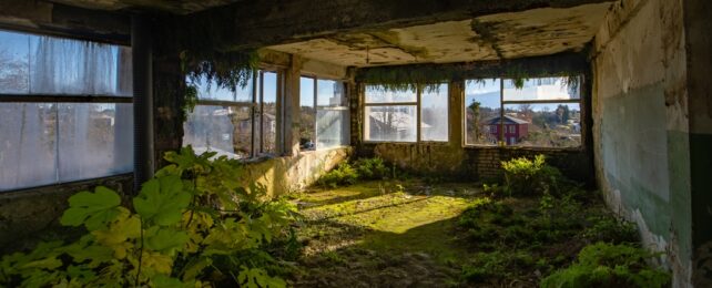 La naturaleza recupera un edificio abandonado