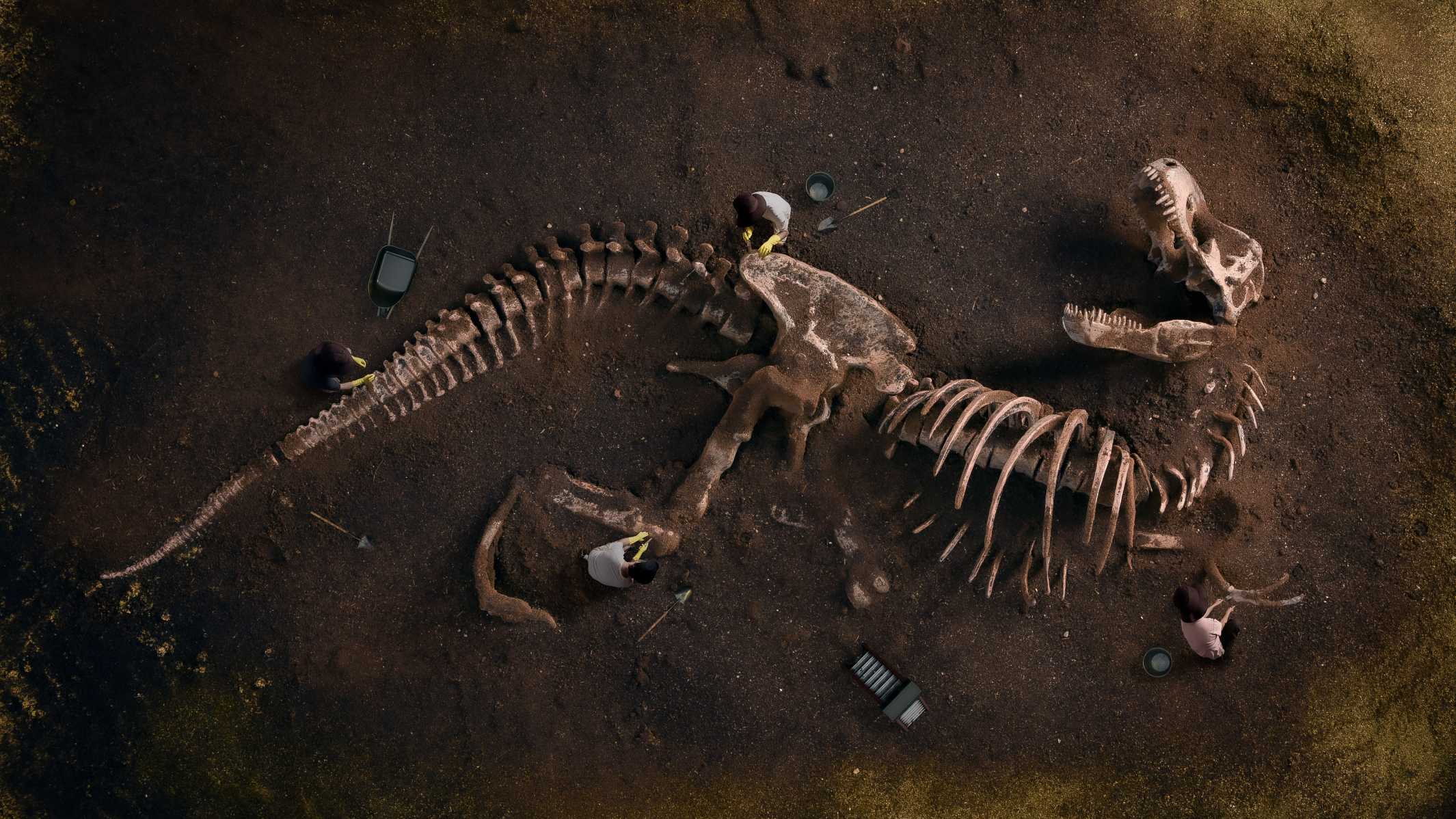 Extinciones masivas