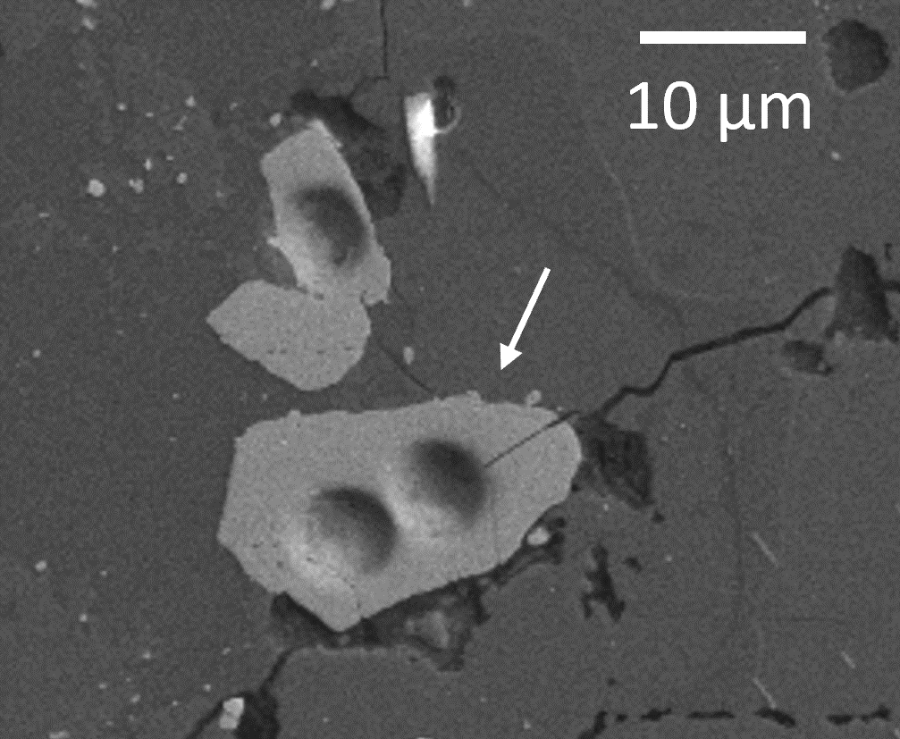 La imagen muestra dos cristales con protuberancias (uno con dos y otro con uno). la escala mostrada sugiere que son un poco más grandes que 10 micrones.