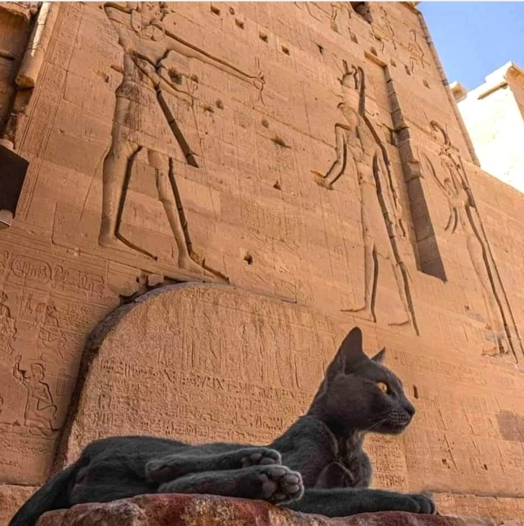 Guardián de Asuán, Egipto.