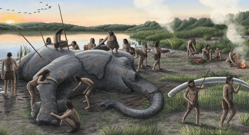 Para aprovechar al máximo un toro Palaeoloxodon antiquus de 13 toneladas se habrían requerido buenas técnicas de conservación, o neandertales reunidos en bandas de al menos 25, más de lo que se había previsto anteriormente.
