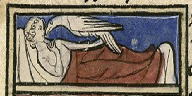 7 criaturas fascinantes de los bestiarios medievales 7 criaturas fascinantes de los bestiarios medievales