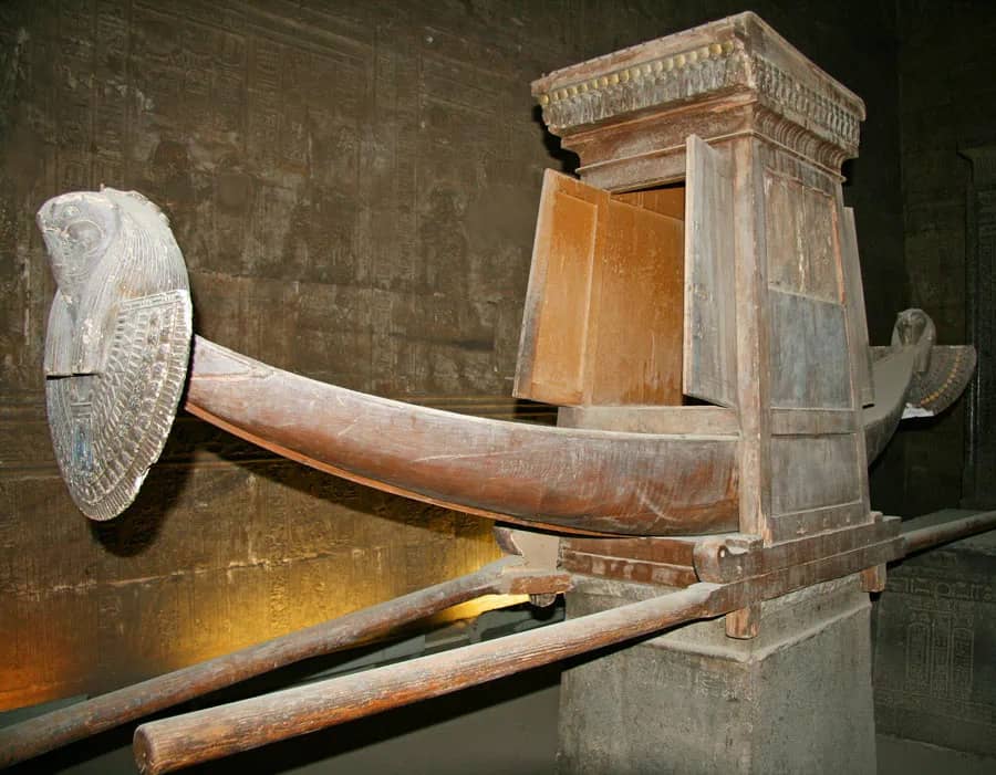 corteza de horus