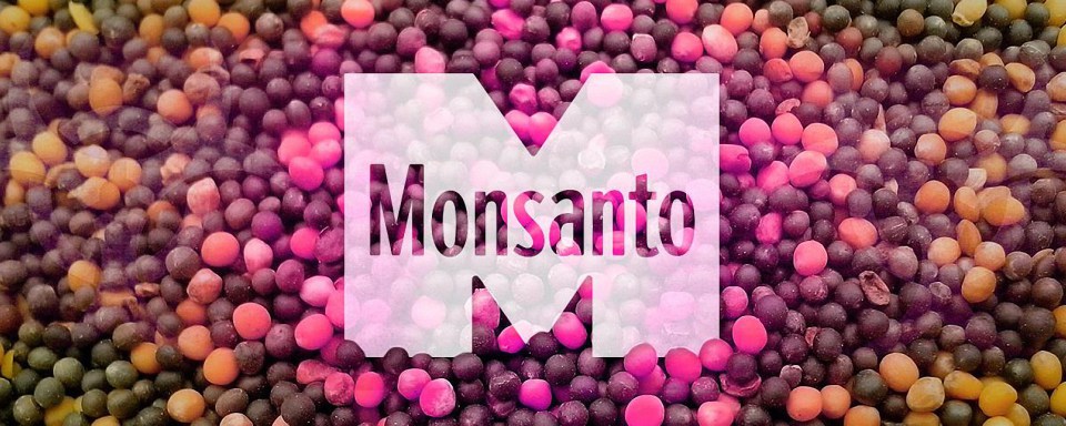 La paradoja de Monsanto: ahora quiere producir orgánicos