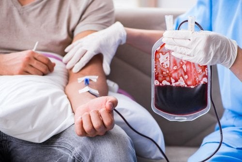 ¿Existen realmente los vampiros? Historias insólitas desde la antigüedad hasta la actualidad ¿Existen realmente los vampiros? Historias insólitas desde la antigüedad hasta la actualidad