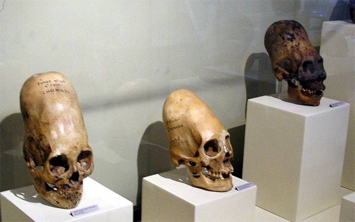 ¿Diferentes inteligencias «no humanas» caminan entre nosotros? (VÍDEOS).