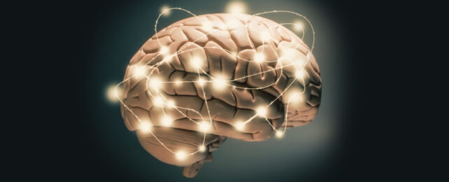 cerebro brillante