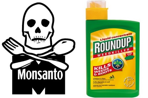 Ministerio Público de Brasil busca prohibir productos químicos de Monsanto por su relación con el cáncer Ministerio Público de Brasil busca prohibir productos químicos de Monsanto por su relación con el cáncer