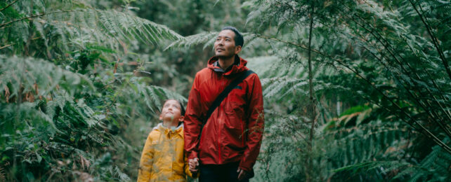 Hombre y un niño caminando bajo helechos