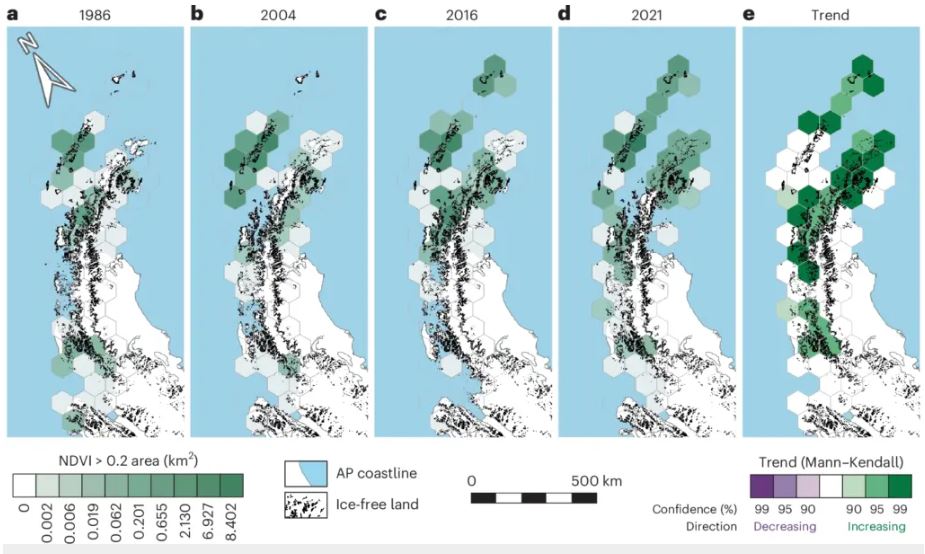 Un gráfico del artículo muestra la tendencia al reverdecimiento de la Península Antártica en los últimos 35 años