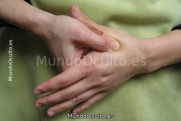 Punto Hoku Punto Hoku