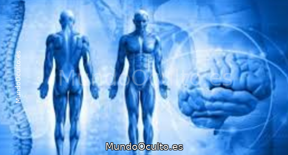 Revelación científica: “La muerte es sólo una ilusión, seguimos viviendo en un universo paralelo”