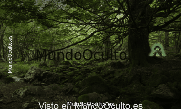 Los elfos ¿realidad o ficción?