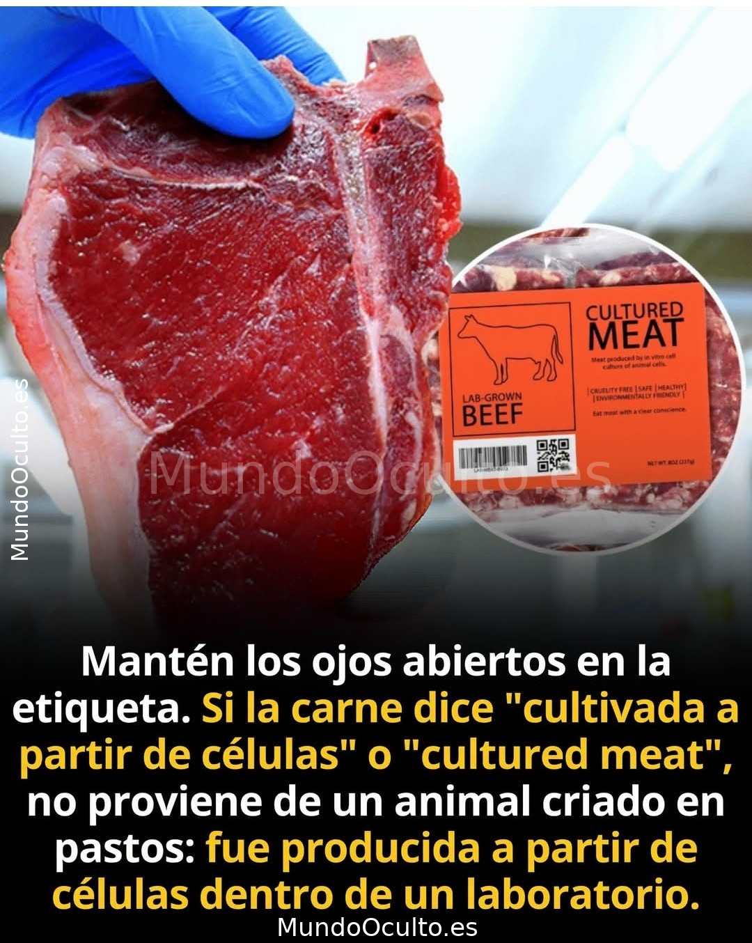 ¿Qué estamos llevando realmente a la mesa? La letra pequeña que pocos están leyendo