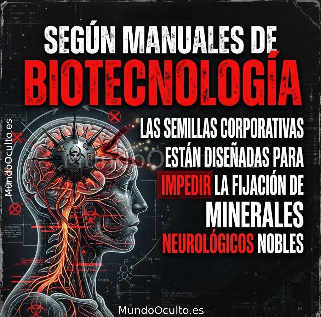 ¿El supermercado es un campo de control invisible?