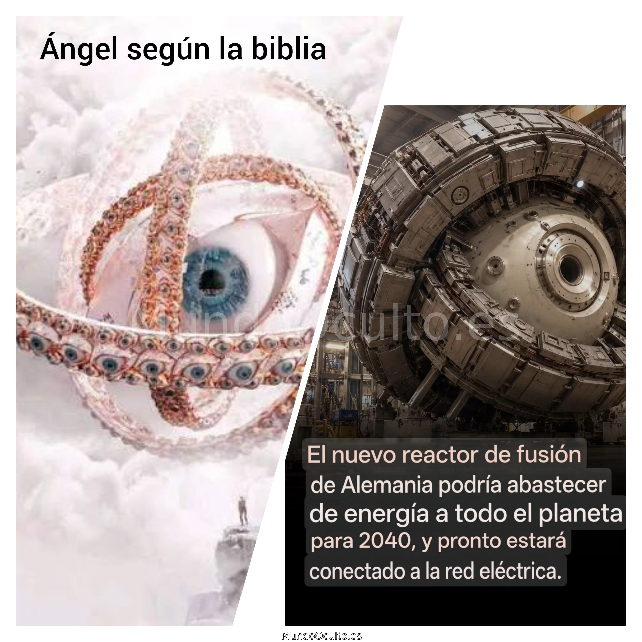 La noticia es real