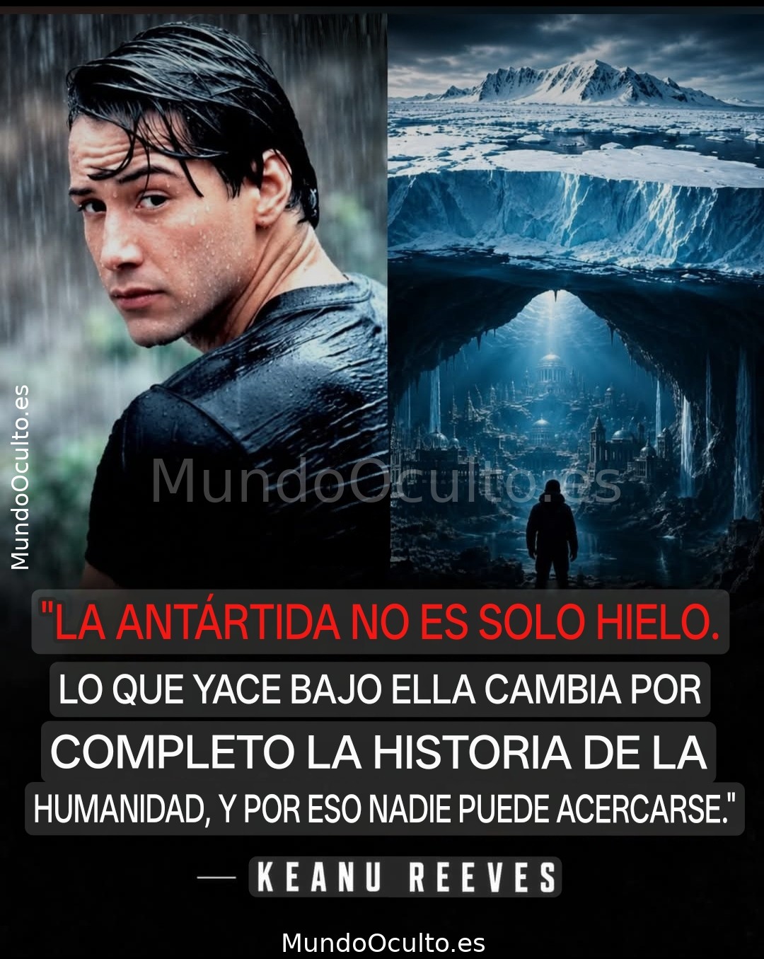 Antártida no es solo hielo…
